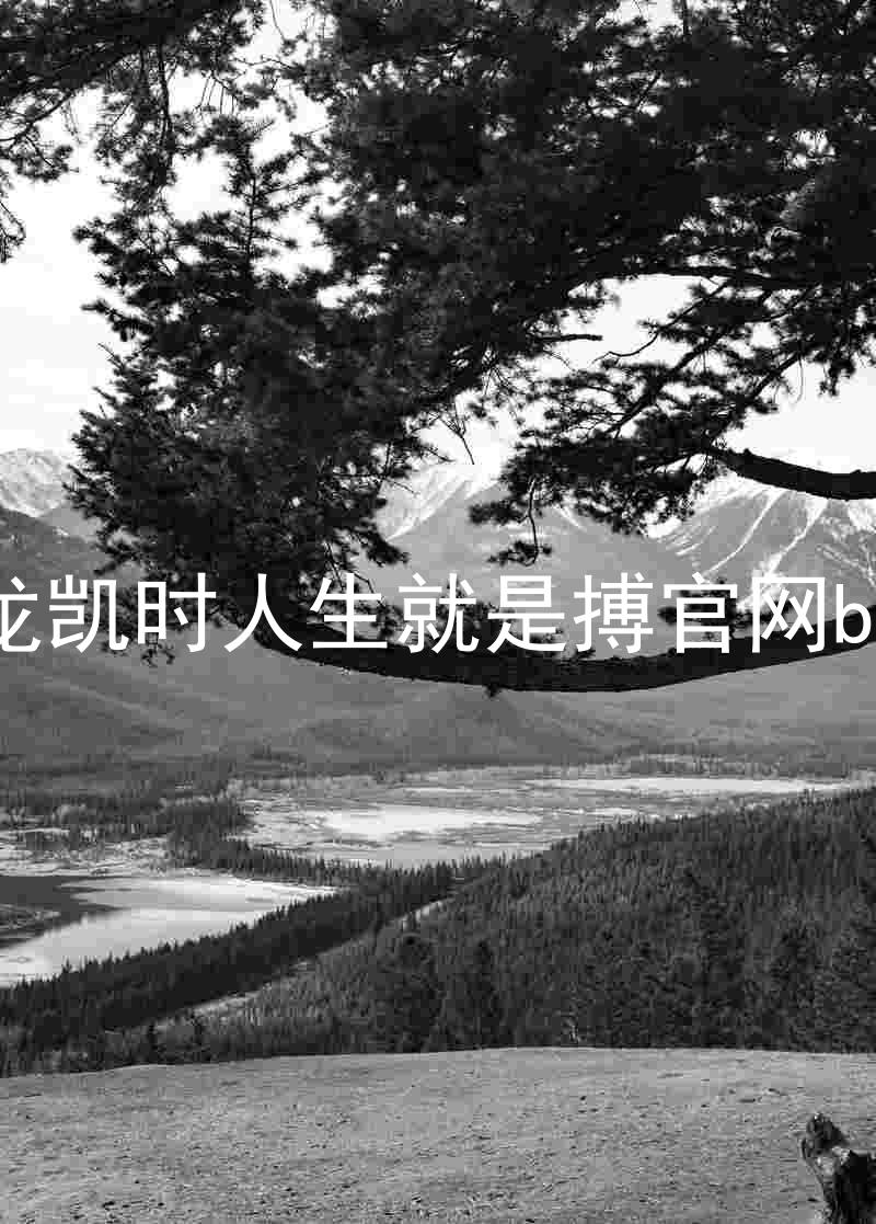 尊龙凯时人生就是搏官网bjl8