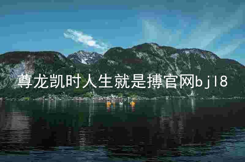 尊龙凯时人生就是搏官网bjl8