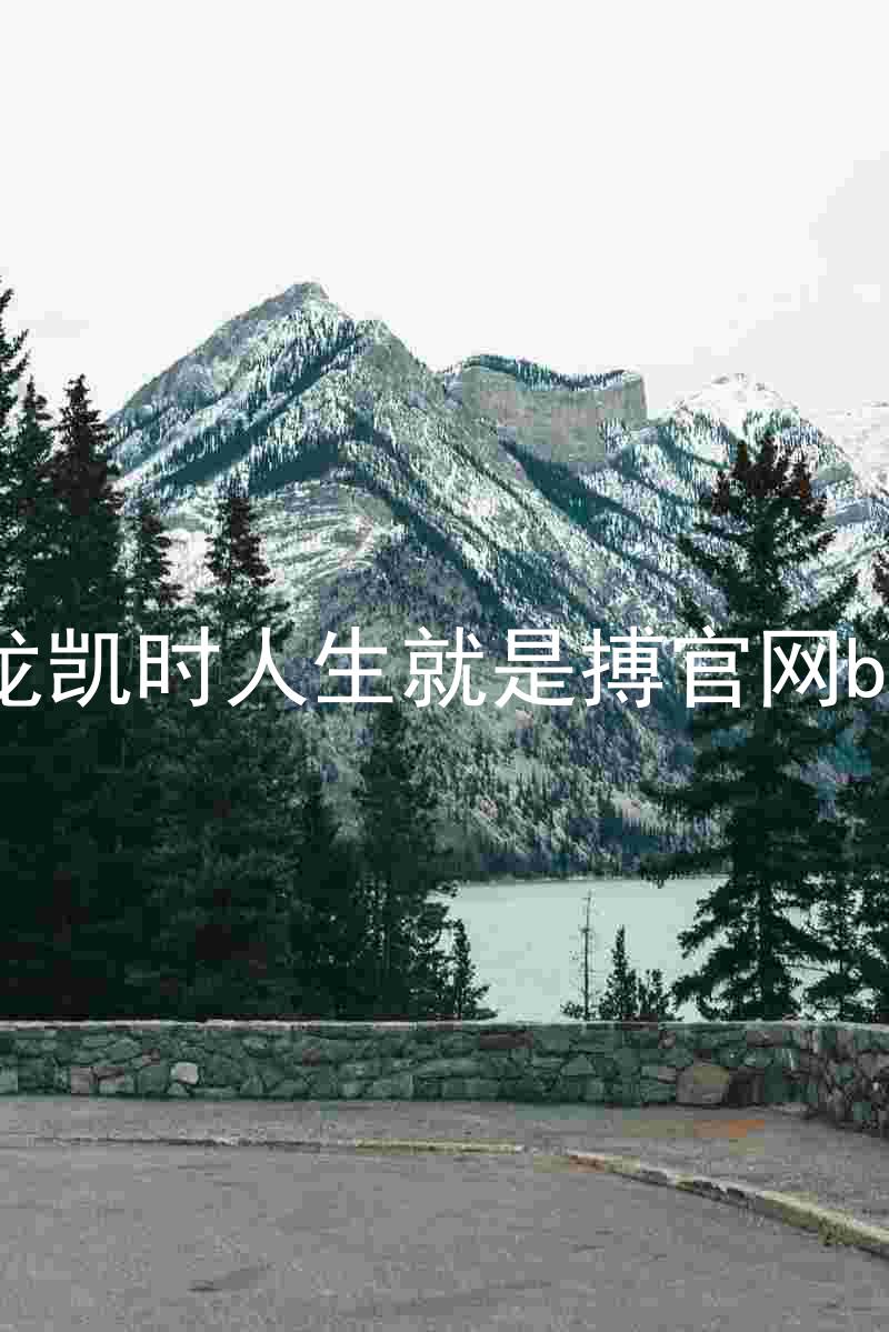 尊龙凯时人生就是搏官网bjl8