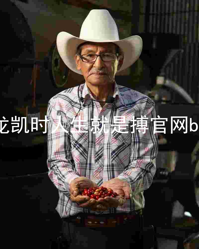 尊龙凯时人生就是搏官网bjl8