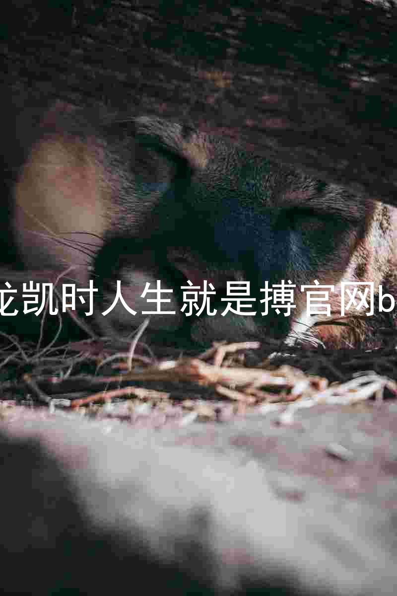 尊龙凯时人生就是搏官网bjl8