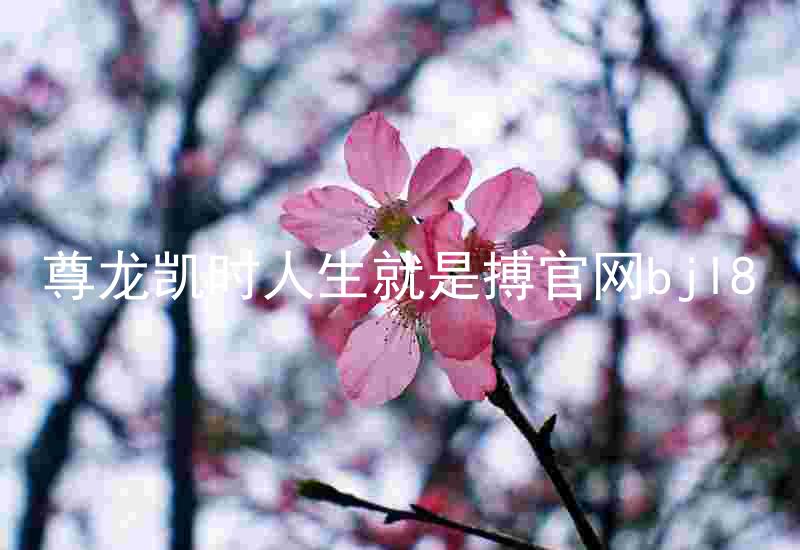 尊龙凯时人生就是搏官网bjl8
