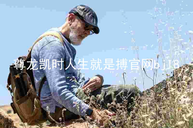 尊龙凯时人生就是搏官网bjl8