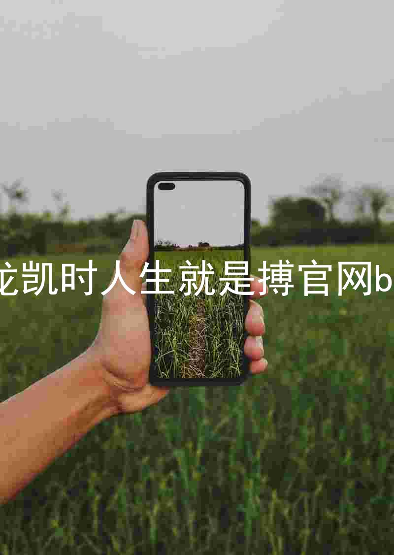 尊龙凯时人生就是搏官网bjl8