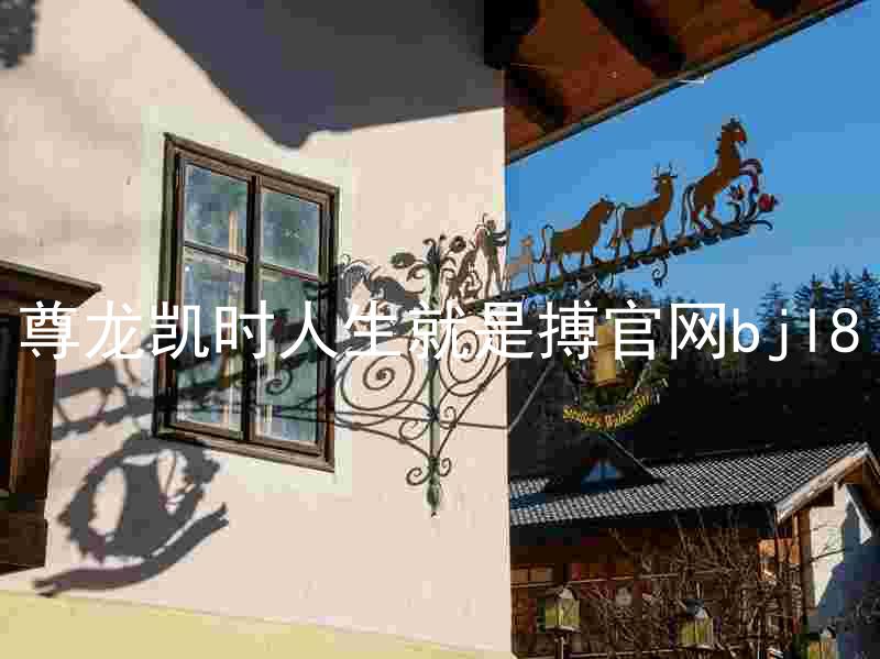 尊龙凯时人生就是搏官网bjl8