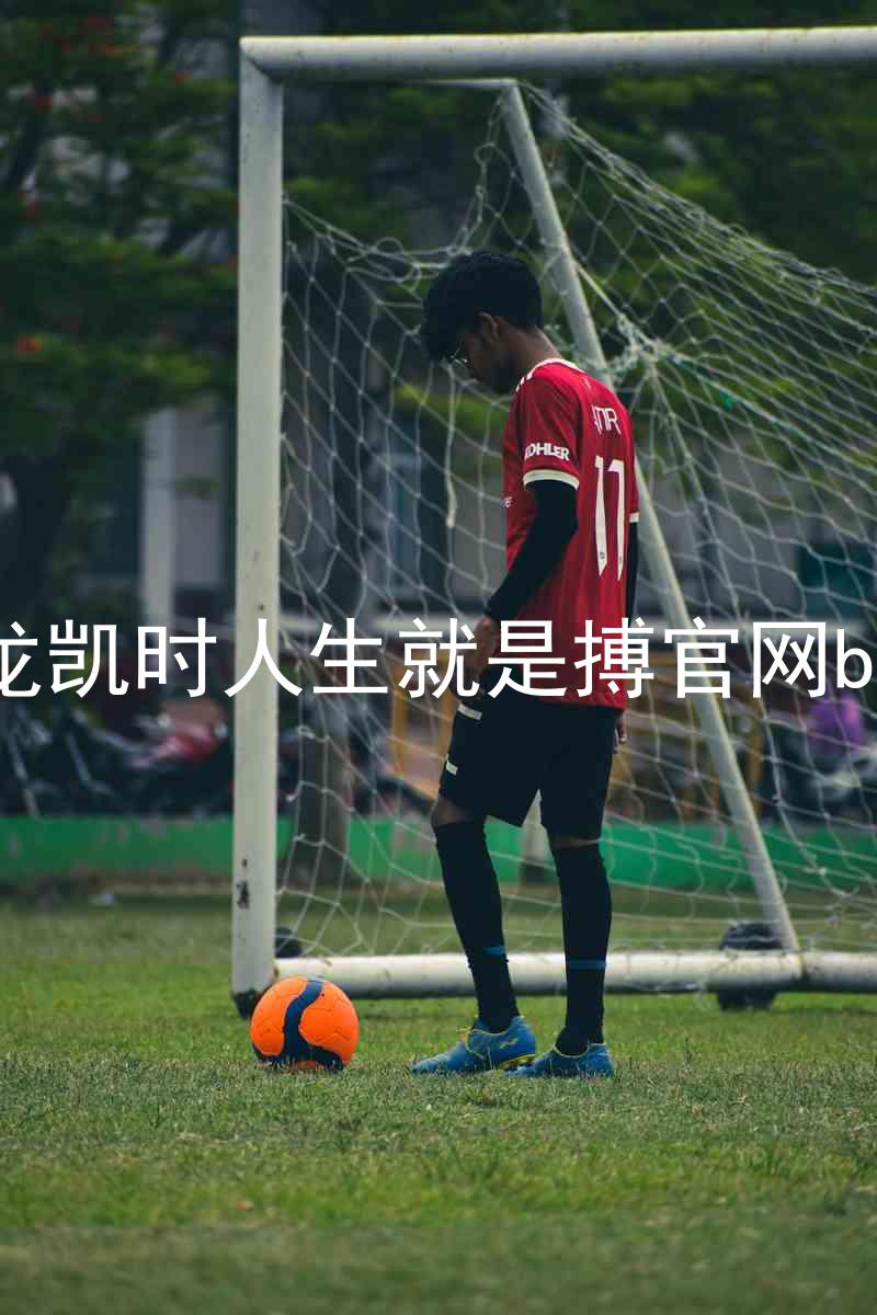 尊龙凯时人生就是搏官网bjl8