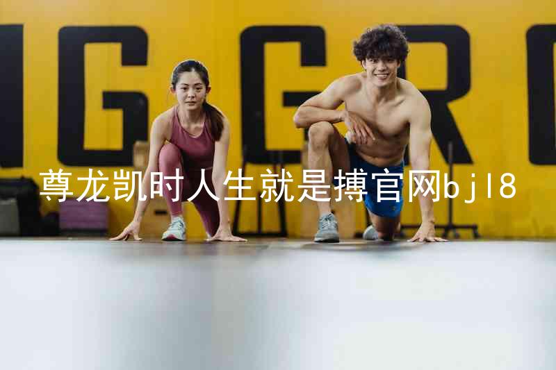 尊龙凯时人生就是搏官网bjl8