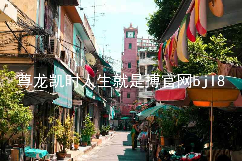 尊龙凯时人生就是搏官网bjl8
